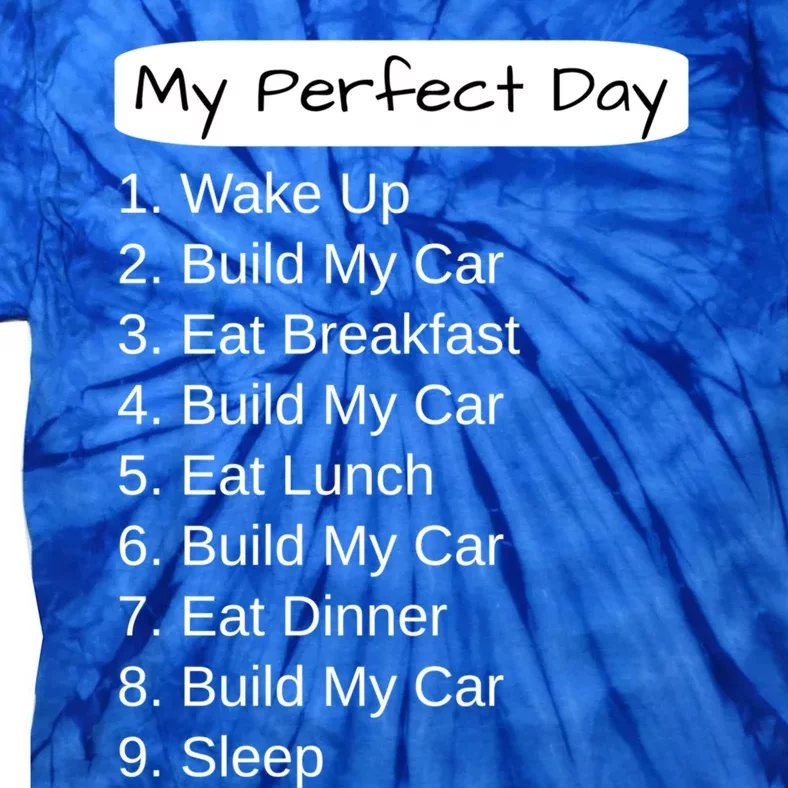 Funny Car Guy Gift Cute Gift My Perfect Day Build My Car Gift Tie-Dye T-Shirt