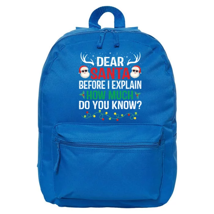 Funny Christmas Gift Adults Dear Santa I Can Explain Gift 16 in Basic Backpack