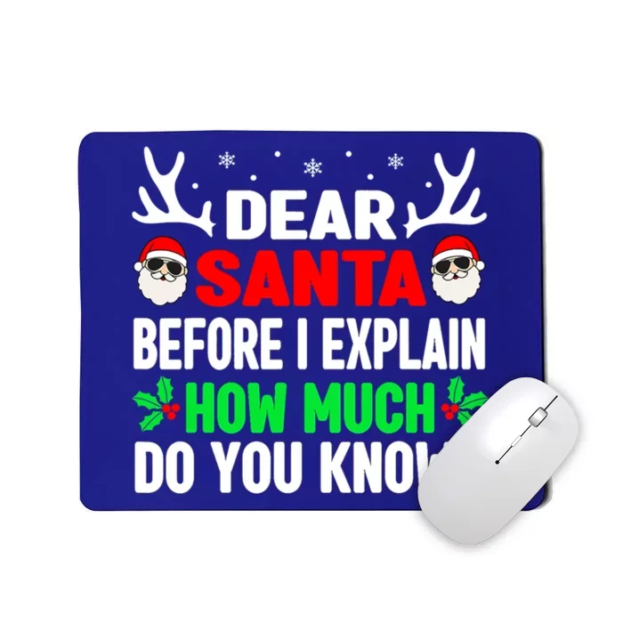 Funny Christmas Gift Adults Dear Santa I Can Explain Gift Mousepad