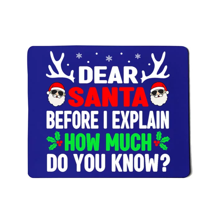 Funny Christmas Gift Adults Dear Santa I Can Explain Gift Mousepad