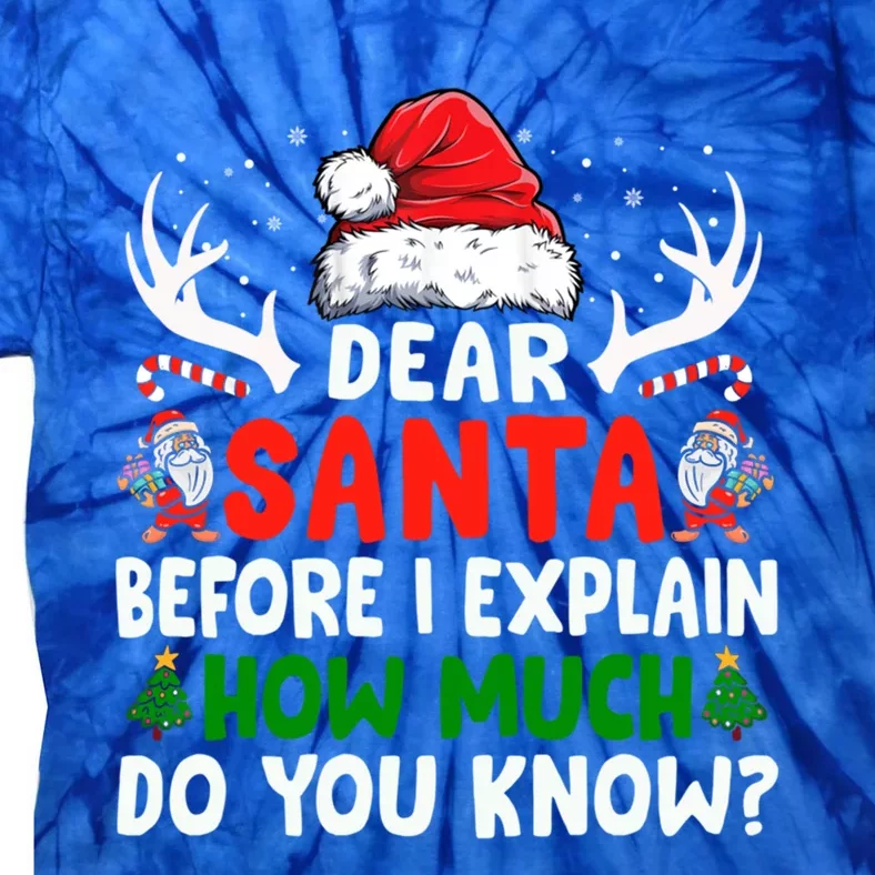 Funny Christmas Gift Adults Dear Santa I Can Explain Funny Gift Tie-Dye T-Shirt