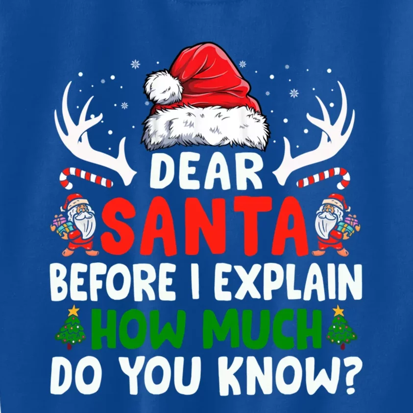 Funny Christmas Gift Adults Dear Santa I Can Explain Funny Gift Kids Sweatshirt