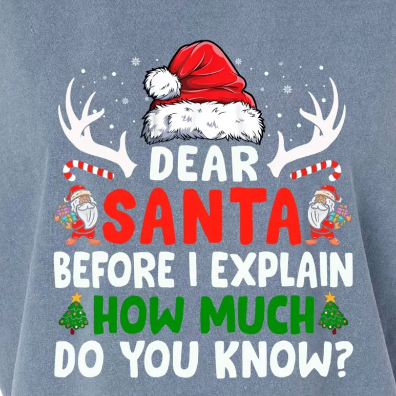 Funny Christmas Gift Adults Dear Santa I Can Explain Funny Gift Garment-Dyed Women's Muscle Tee