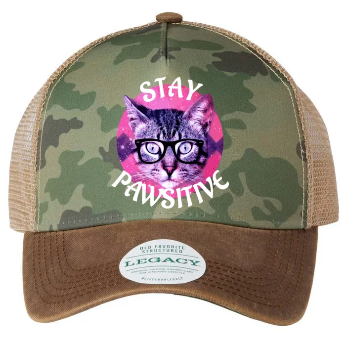 Funny Cat Gift Stay Pawsitive Gift Legacy Tie Dye Trucker Hat