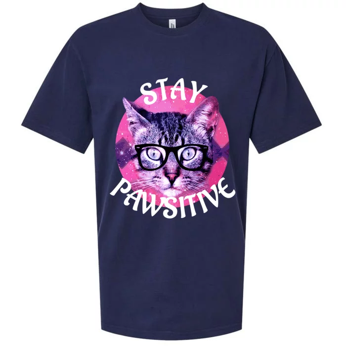 Funny Cat Gift Stay Pawsitive Gift Sueded Cloud Jersey T-Shirt