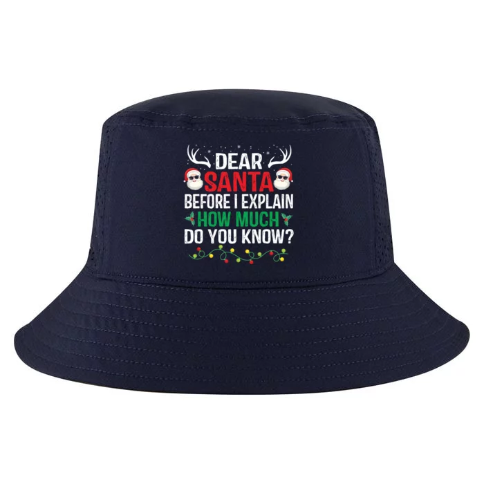 Funny Christmas Gift Adults Dear Santa I Can Explain Meaningful Gift Cool Comfort Performance Bucket Hat