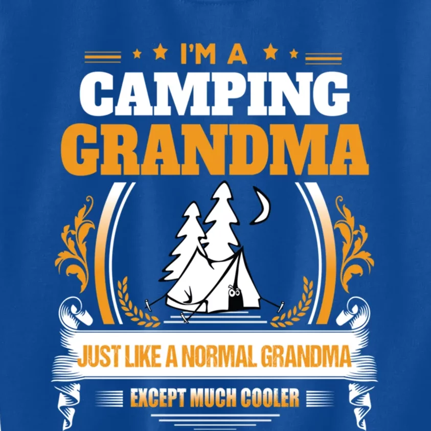 Funny Camping Grandma Gift For Grandma Kids Sweatshirt