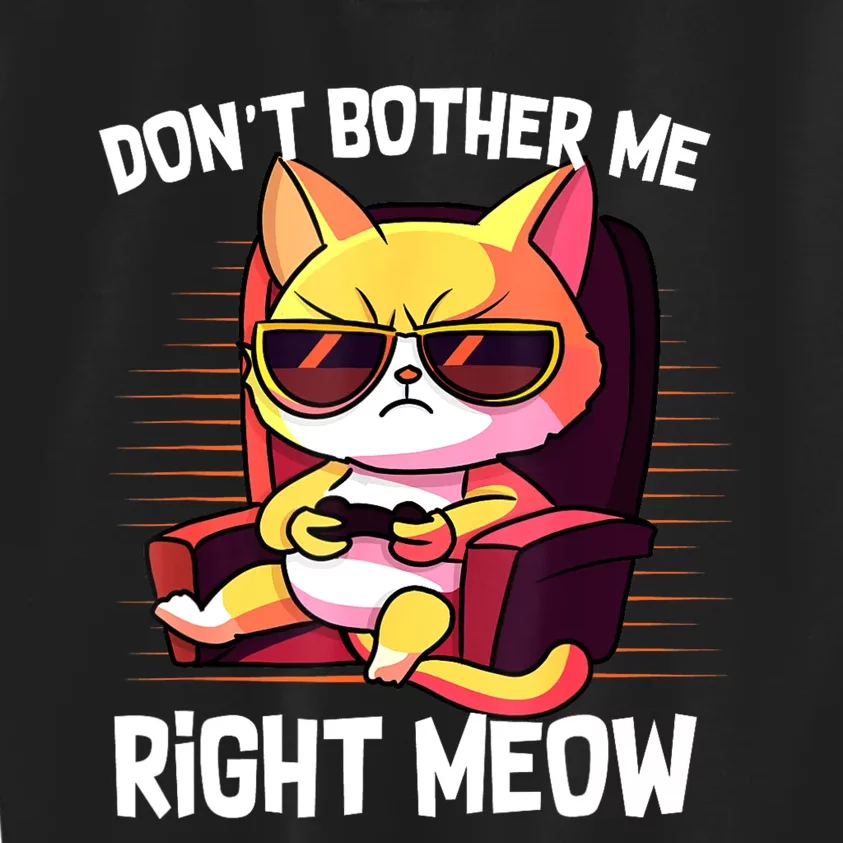 Funny Cat Gamer Don’T Bother Me Right Meow Video Games Lover Kids Sweatshirt