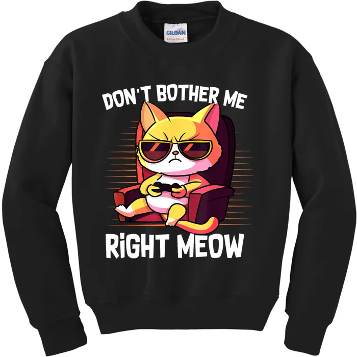 Funny Cat Gamer Don’T Bother Me Right Meow Video Games Lover Kids Sweatshirt