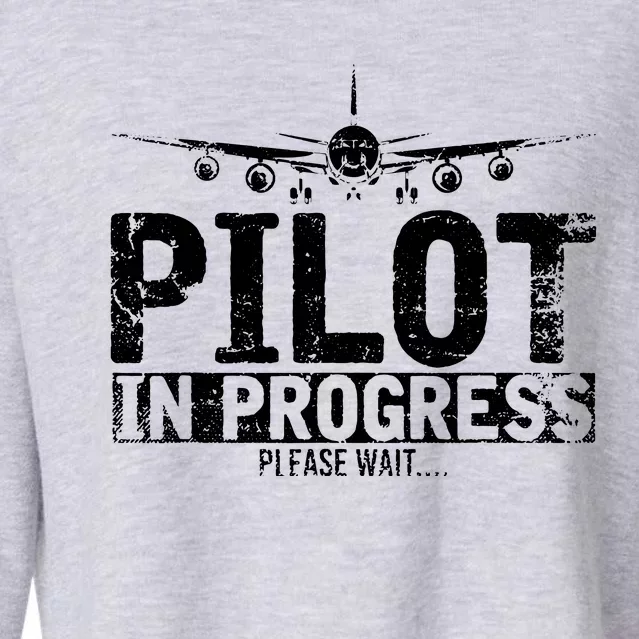 Funny Copilot Gift Flight Pilot In Progress Future Pilot Cropped Pullover Crew