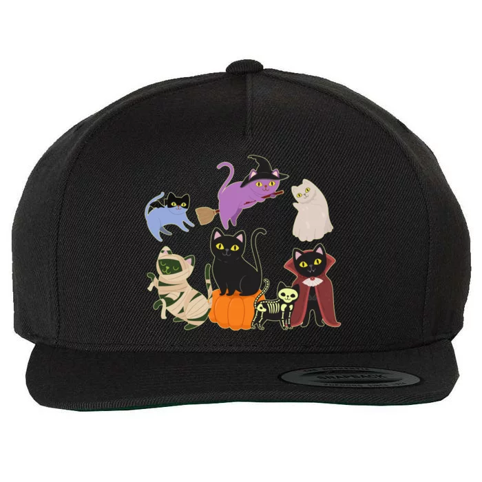 Funny Cute Halloween Costume Cats Kitties Wool Snapback Cap