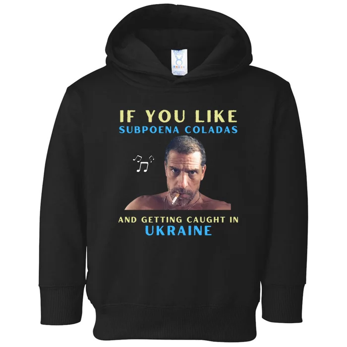 Funny Conservative Hunter Biden Toddler Hoodie