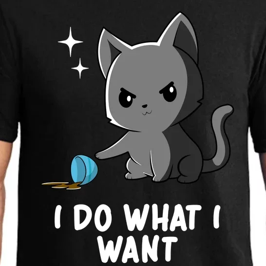 Funny Cat I Do What I Want Pajama Set