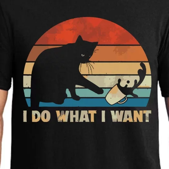 Funny Cat I Do What I Want Cat Pajama Set