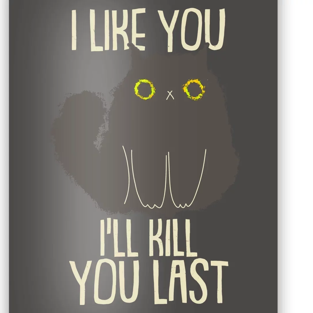 Funny Cat I Like You I'll Kill You Last Poster