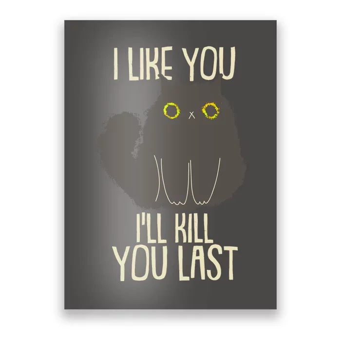 Funny Cat I Like You I'll Kill You Last Poster