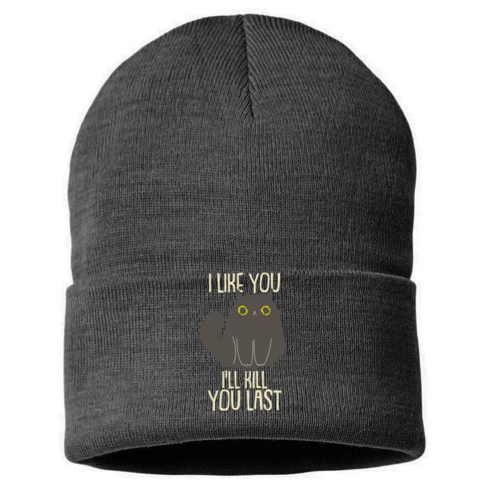 Funny Cat I Like You I'll Kill You Last Sustainable Knit Beanie