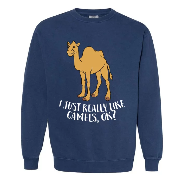 Funny Camels I Just Really Like Camels Ok Funny Camel Gift Cute Gift Garment-Dyed Sweatshirt