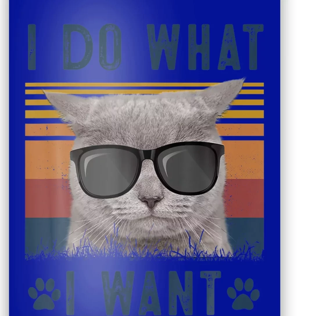 Funny Cat I Do What I Want Cat Retro 90s Cat Lovers Gift Poster