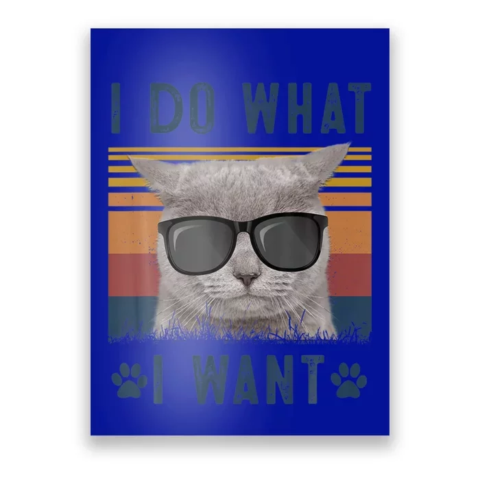 Funny Cat I Do What I Want Cat Retro 90s Cat Lovers Gift Poster