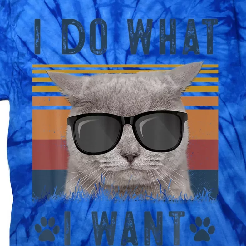 Funny Cat I Do What I Want Cat Retro 90s Cat Lovers Gift Tie-Dye T-Shirt