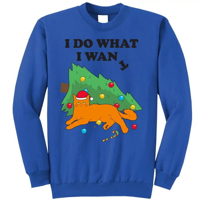 Funny Cat I Do What I Want Christmas Graphic Gift Sweatshirt