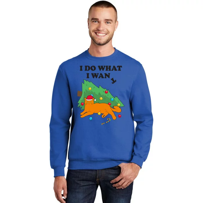 Funny Cat I Do What I Want Christmas Graphic Gift Tall Sweatshirt