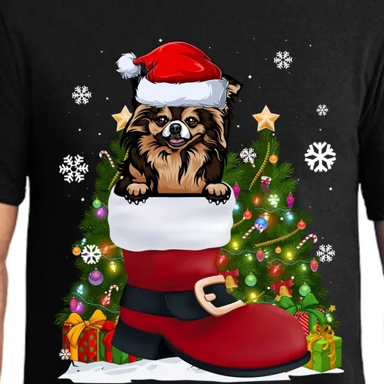 Funny Chihuahua In The Shoe Santa Hat Ugly Christmas Sweater Cool Gift Pajama Set