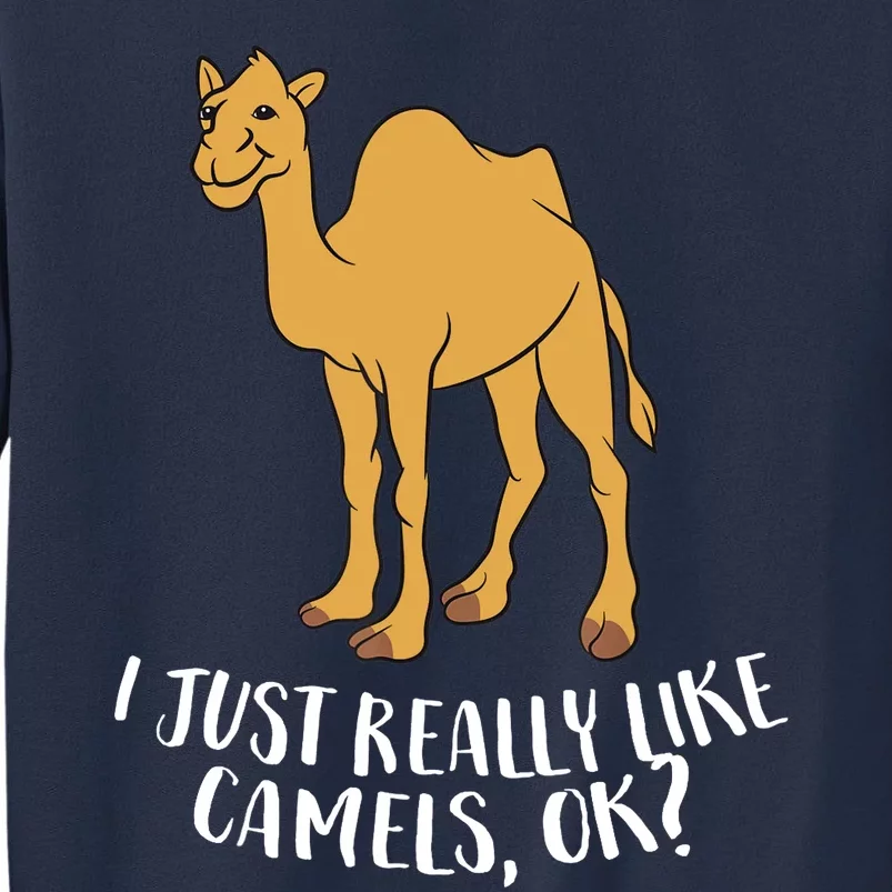 Funny Camels I Just Really Like Camels Ok Funny Camel Gift Sweatshirt