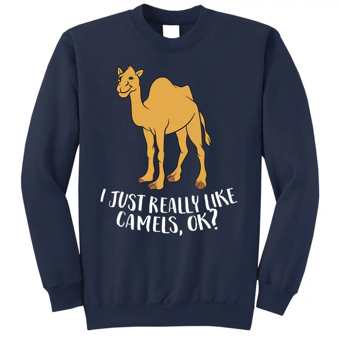 Funny Camels I Just Really Like Camels Ok Funny Camel Gift Sweatshirt