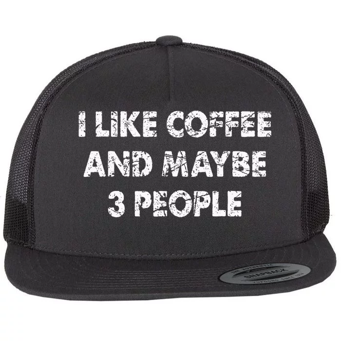 Funny Coffee I Like Coffee And Maybe 3 People Flat Bill Trucker Hat