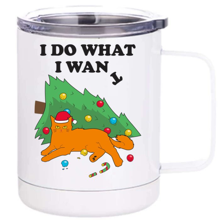 Funny Cat I Do What I Want Christmas Graphic Gift Cute Gift Front & Back 12oz Stainless Steel Tumbler Cup