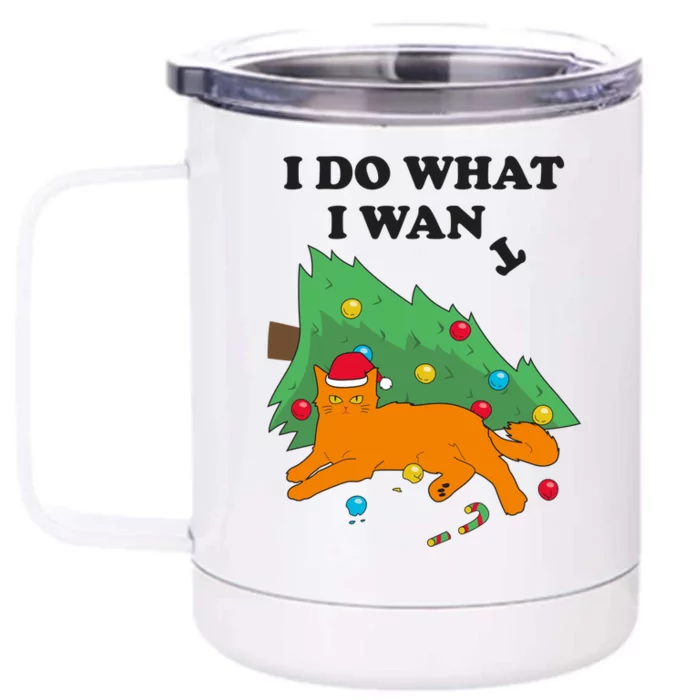 Funny Cat I Do What I Want Christmas Graphic Gift Cute Gift Front & Back 12oz Stainless Steel Tumbler Cup