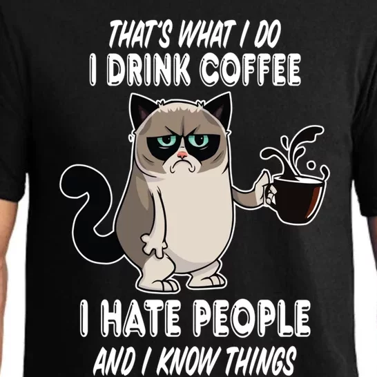 Funny Cat I Coffee Hate People And I Know Things Cat Gift Pajama Set