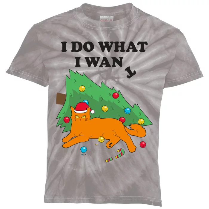 Funny Cat I Do What I Want Christmas Graphic Gift Great Gift Kids Tie-Dye T-Shirt