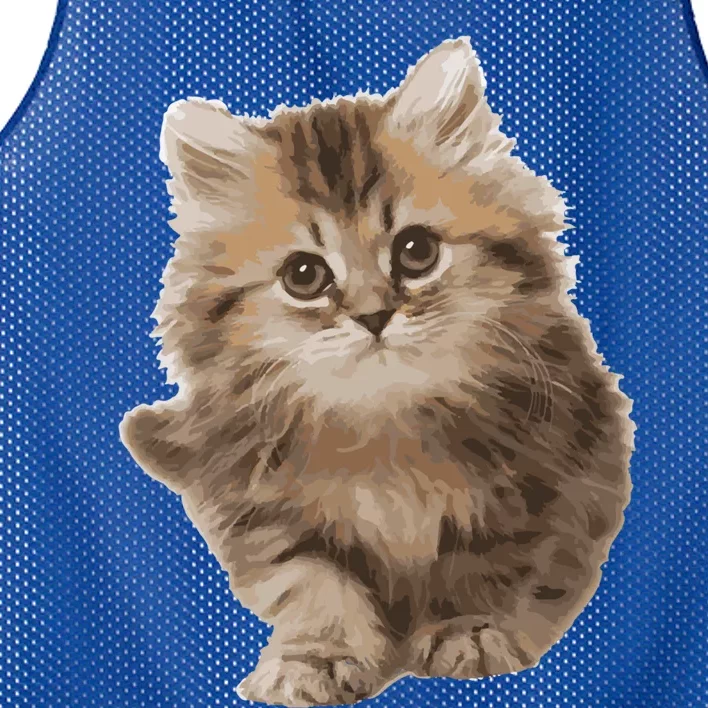 Fluffy Cute Kitten Nice Gift International Cat Day Great Gift Mesh Reversible Basketball Jersey Tank