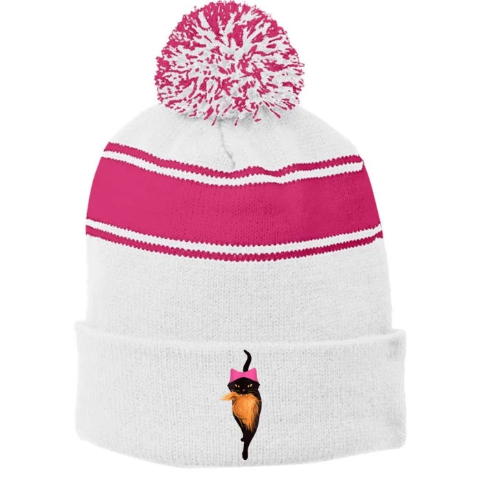 Funny Cat Ladies And Cat Guy Stripe Pom Pom Beanie