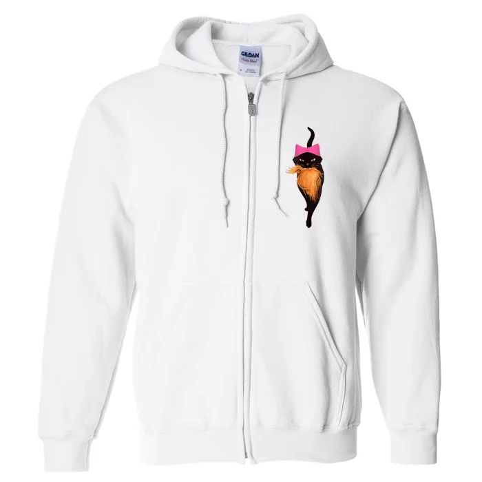 Funny Cat Ladies And Cat Guy Full Zip Hoodie