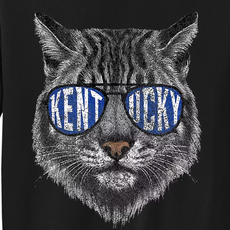 Funny Cat Lovers Graphic Last Name Kentucky Tall Sweatshirt