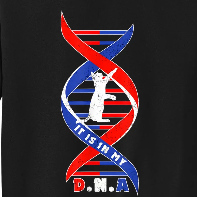 Funny Cat Lover T  Cat It In My Dna Sweatshirt