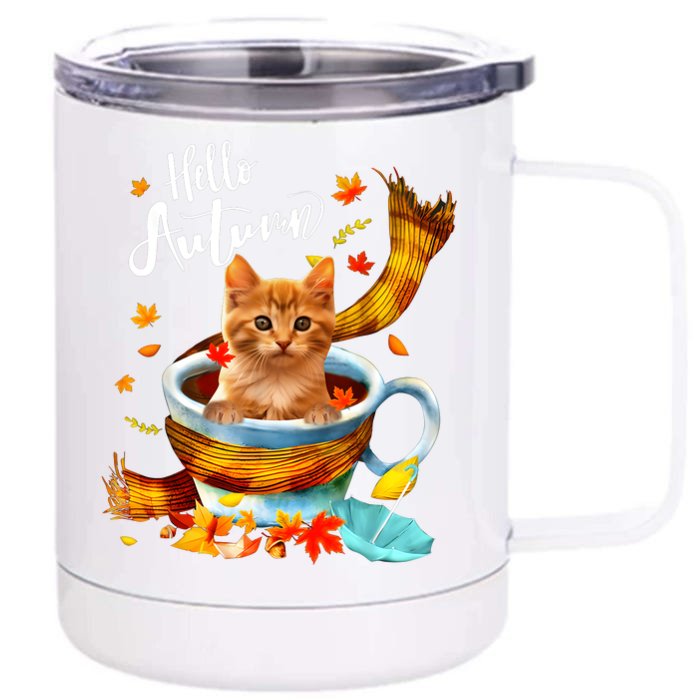 Funny Cat Leaf Fall Hello Autumn Cute Kitten Cat Lovers Front & Back 12oz Stainless Steel Tumbler Cup