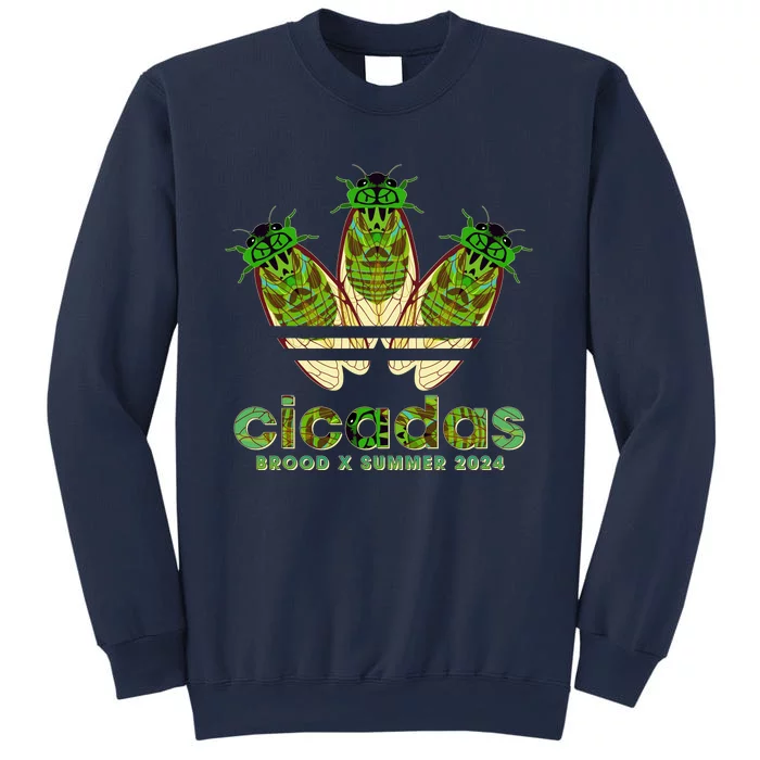 Funny Cicadas Logo Brood X Summer 2024 Sweatshirt