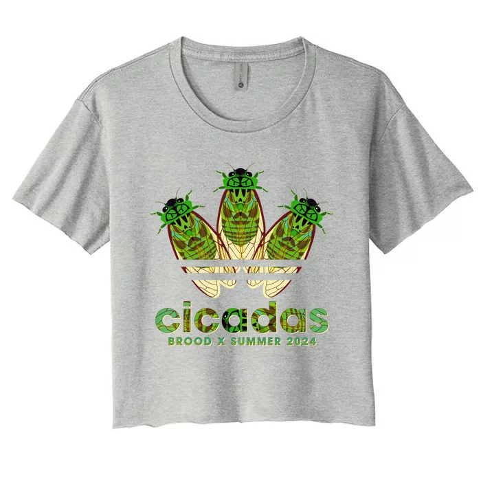 Funny Cicadas Logo Brood X Summer 2024 Women's Crop Top Tee