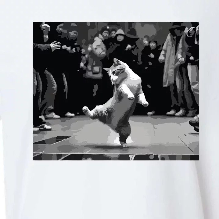 Funny Cat Lover Dancing Cat Cat Dance Kitten Lover Gift Sueded Cloud Jersey T-Shirt