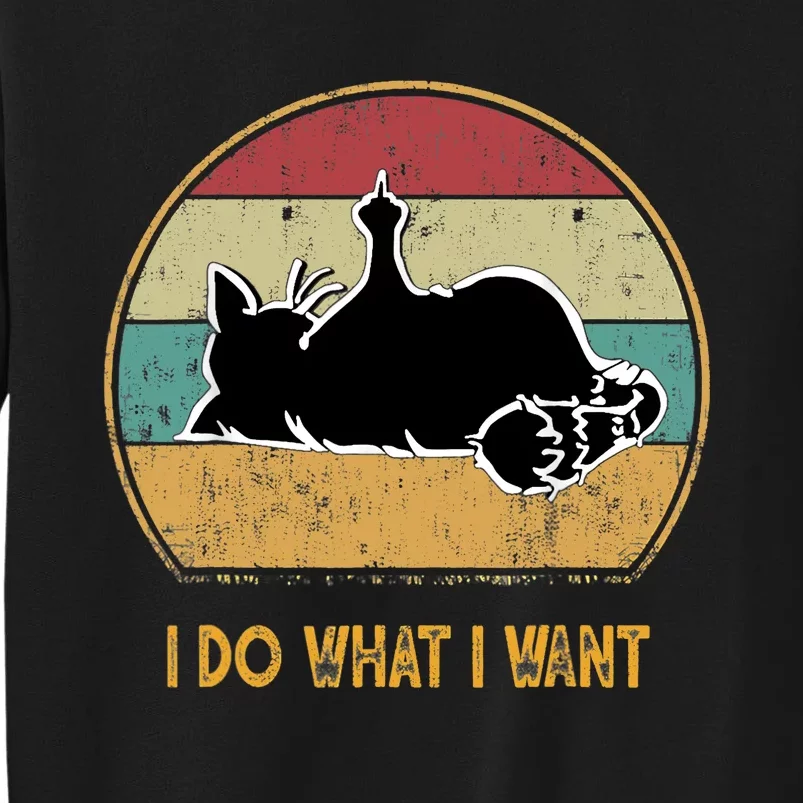 Funny Cat Lover Retro Cat I Do What I Want Cat Tall Sweatshirt