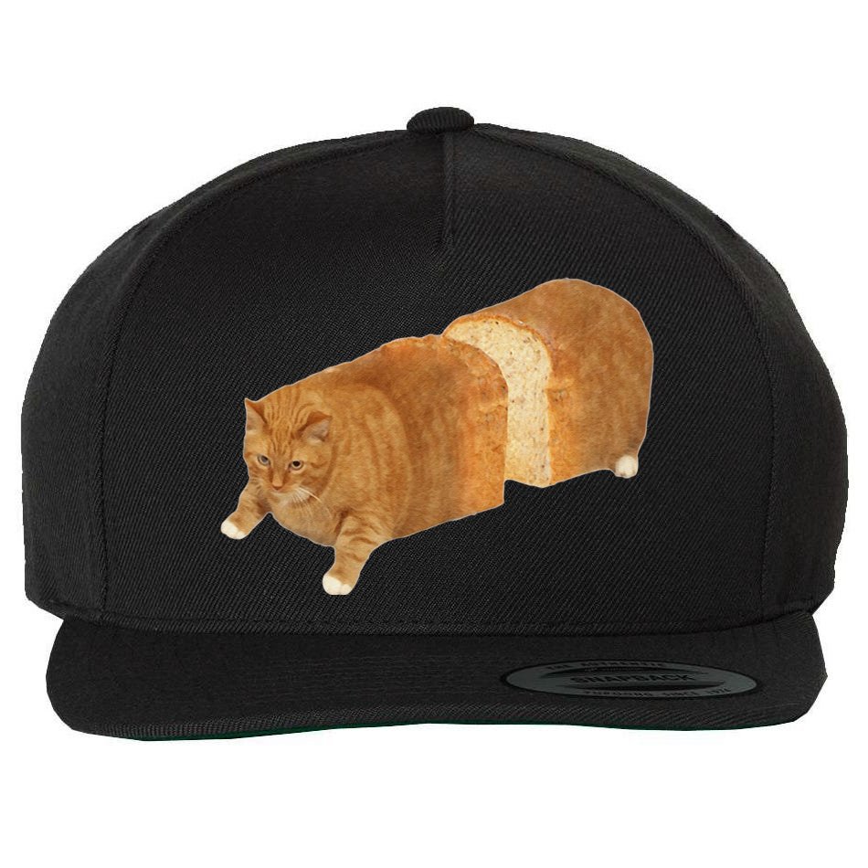 Baby Cat with Baseball Cap Sublimation