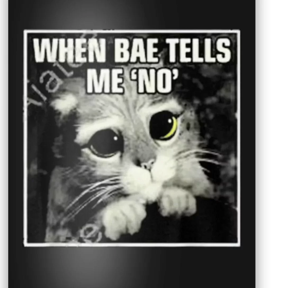 Funny Cat Meme When Bae Tells Me No Poster