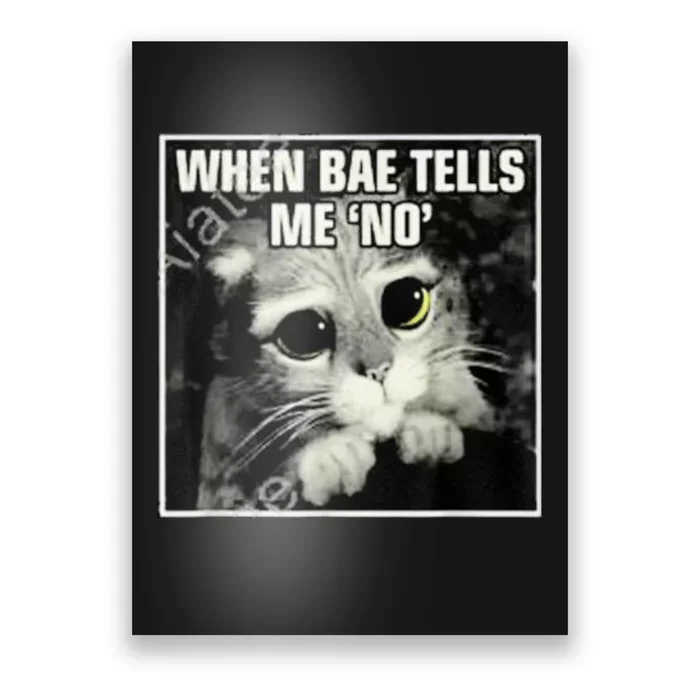 Funny Cat Meme When Bae Tells Me No Poster