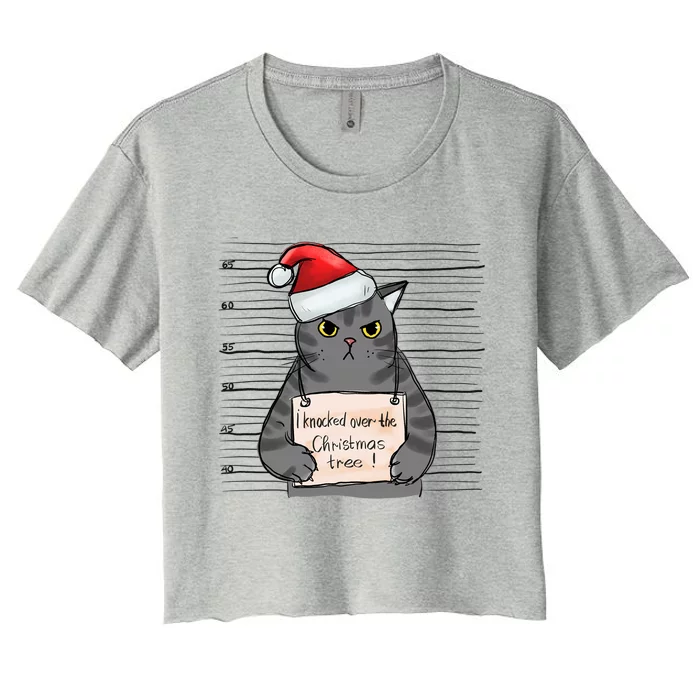 Funny Cat Mug Shot I Knocked Over The Christmas Tree Gift Women's Crop Top Tee