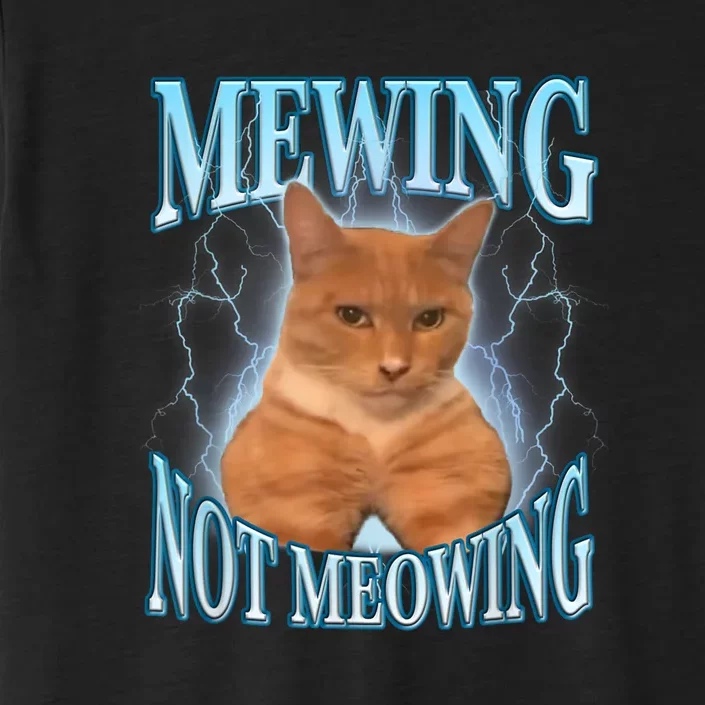 Funny Cat Meme Meowing Looks Max Meowing ChromaSoft Performance T-Shirt